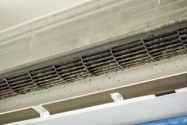 Best Emergency Air Duct Cleaning  in Dodgeville, WI